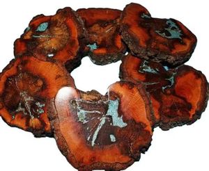 Piedras ásperas pulidas naturales, espécimen de losa de madera fósil, rebanada de madera petrificada para Decoración - Product Image 1