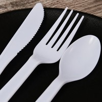 Ensemble de couverts en plastique blanc jetables, couteau, fourchette, cuillère, sans danger pour les aliments, pour la restauration et les fêtes