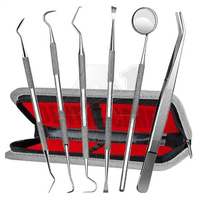 Juego de Instrumentos Dentales de Acero de la Mejor Calidad, 6 Piezas, VERITAS A-1, Instrumentos Quirúrgicos para el Cuidado Bucal, Incluye Sonda y Raspador