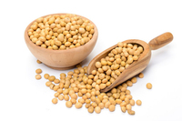 Soja séché brésilien non-OGM, emballage en vrac, riche en protéines, sain, pur, naturel, soja jaune, récolte de 50 kg, durée de conservation de 2 ans