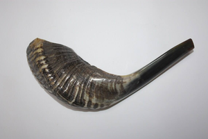 Shofar Kosher Hecho en Israel, Cuerno de Carnero Natural Tallado en Estilo Animal, Ecológico para Tocar y Fines Religiosos - Product Image 3
