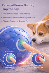 C Tipi Şarj Edilebilir Işıklı Elektrikli Yuvarlanan Köpek Topu Akıllı Uyandırma Etkileşimli İç Mekan Oyuncak Evcil Hayvan Oyuncağı - Product Image 6