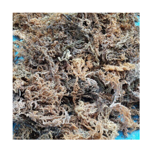 สลัดสาหร่าย Eucheuma cottonii มอสทะเลไอริชอบแห้ง - Product Image 1