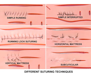 Modelo avanzado Manual Fuente de alimentación Kit completo de práctica de sutura Base para estudiantes de medicina Instrumentos quirúrgicos Entrenamiento de silicona - Product Image 4