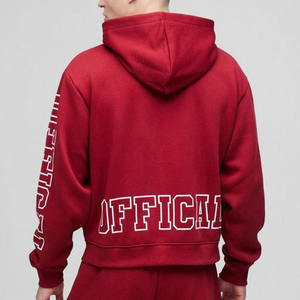 Survêtement à capuche zippé à logo officiel personnalisé Survêtement à capuche surdimensionné Boxy à séchage rapide Ensemble pantalon de survêtement et pantalon cargo Survêtement - Product Image 3