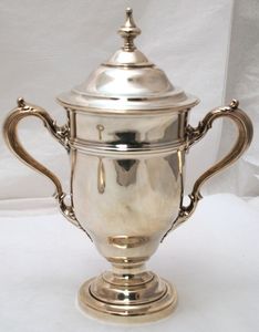 Customized stylish finished metal trophy ideal for office employee appreciation and <b>top</b> performance awards - Product Image 5