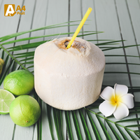 Eau de coco pure naturelle rafraîchissante Khey Taladthai, pulpe de fruits, noix de coco jeune entière, qualité A, provenant de Thaïlande, meilleur goût