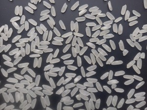 Riz à grains moyens calrose aromatique doux de qualité supérieure provenant du Vietnam pour la vente en gros et au détail-Riz au jasmin - Product Image 2