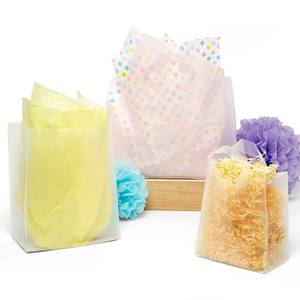 Clear Frosted Soft Loop Plastic Handle Gift Bags - Product Image 1