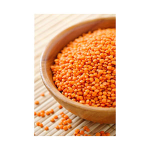 Lentejas frescas orgánicas de alta calidad, gran cantidad suministrada para mercados de exportación internacionales - Product Image 4