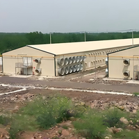 Système de ferme avicole automatique en bâtiment fermé pour bétail 150*12*3m
