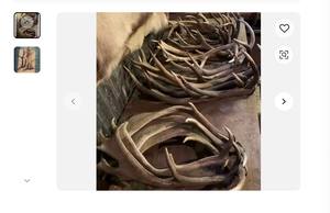 กวางเขากวางสำหรับผู้ชายสำหรับใช้เครื่องสำอาง - Product Image 6