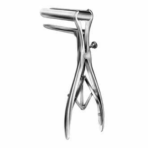 INTESTINES & STOMACH - Product Image 3