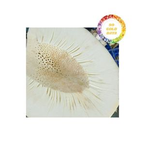 ผลิตภัณฑ์ส่งออกขนมปังแช่แข็งคุณภาพสูงเหมาะสำหรับใช้ทำอาหารการผลิตอาหารและการใช้งานทำอาหารที่หลากหลาย - Product Image 3