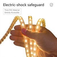 Bande lumineuse LED RGB AC110V 5050, rouleau de 100 m, 60 LED/m, étanche IP67, contrôle vocal via application intelligente, pour extérieur et aménagement paysager