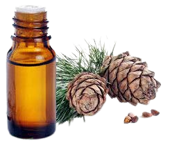 น้ำมัน Atlas cedarwood 100% น้ำมันบริสุทธิ์ - Product Image 3