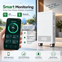 Batterie de secours domestique 51,2 V 100 Ah, batterie de stockage d'énergie au lithium 5,12 kWh, ESS résidentiel pour système d'énergie solaire