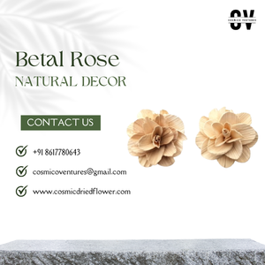 Fleur de bétel rose séchée de haute qualité, écologique et naturelle, de la marque Cosmic, pour l'artisanat DIY, l'art en résine, la décoration de la fête des pères et d'Halloween - Product Image 2