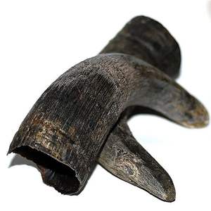 Agua Cuerno de búfalo Núcleo Comida para mascotas Color natural Aperitivos para perros y piensos Artesanía natural hecha a mano Masticar para perros - Product Image 1