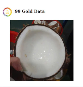 Crema de coco vietnamita lista para exportar usando el proceso IQF diseñado para una distribución global rentable por 99 Gold Data - Product Image 6