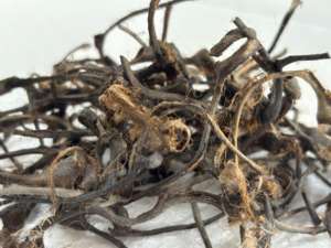 Fibre de soie brute en vrac, soie sauvage naturelle brune, 100% fibre de soie, longues fibres, haute résistance, fil à tisser, textile durable - Product Image 5