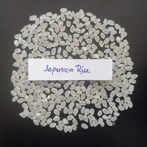 Riz SUSHI exclusif du Vietnam adapté au détaillant de supermarché de fournisseur de produits alimentaires japonais riz au jasmin