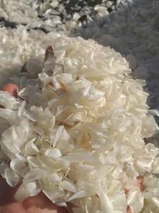 ÉCailles de poisson de qualité supérieure - Source naturelle de collagène et de gélatine - Product Image 6