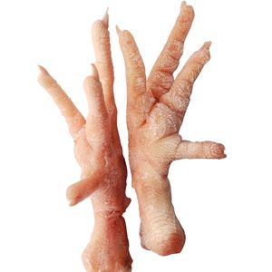 Pieds de poulet congelés nettoyés, blanchis et emballés pour l'exportation Riche en collagène Idéal pour les soupes, les collations et la transformation des aliments - Product Image 6