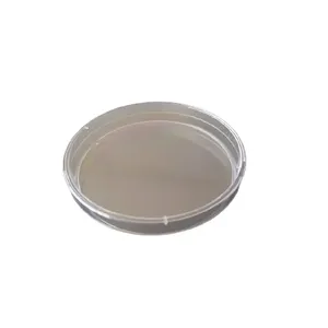 HOT SALE PETRI DISH 90X15 MM 1 ROOM 3 VENTILLED LABORATORY PLASTIC CONSUMABLES BEST PRICE FROM TURKEY