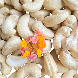 Ww180เม็ดมะม่วงหิมพานต์2024เม็ดมะม่วงหิมพานต์ไม่เสียภาษี - Product Image 1