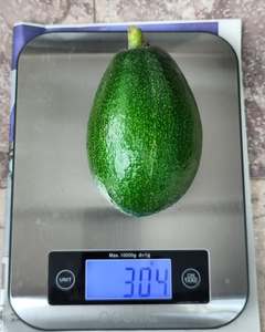 Compre Aguacates Hass Orgánicos al por Mayor - Aguacates Frescos de Primera Calidad para Venta de Exportación - Product Image 6