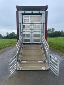 DAF XF 105 (Transport d'animaux/chevaux) - Product Image 4