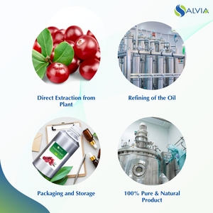 Huile essentielle de graines de canneberge de la marque Salvia, 100% pure et naturelle, vente en gros, prix bas, emballage personnalisé - Product Image 4