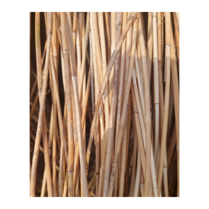 Fournisseur du Vietnam Noyau de rotin naturel: Direct du Vietnam Variété de noyau de rotin blanchi de taille - Product Image 1