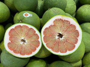 Precio muy competitivo zumo de pomelo cítricos para exportación fruta pumelo origen Vietnam - Product Image 4