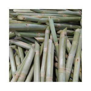 Vente chaude canne à sucre congelée canne à sucre douce meilleure qualité prix bon marché du Viet Nam disponible en vrac - Product Image 6