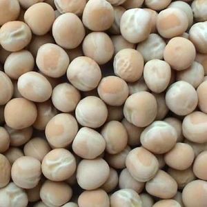Pois secs naturels ou pois blancs pour des repas végétariens riches en protéines, régime végétalien et recettes traditionnelles au meilleur prix du marché - Product Image 4