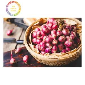 Cebollín Morado Seco al por Mayor de Vietnam para Fabricantes de Condimentos e Importadores - Product Image 5