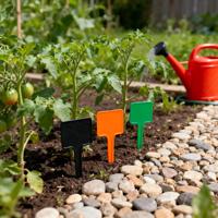 Vente chaude, marqueurs de jardin en plastique légers et imperméables de haute qualité, étiquettes de plantes avec couleur personnalisée, OEM MORUAN