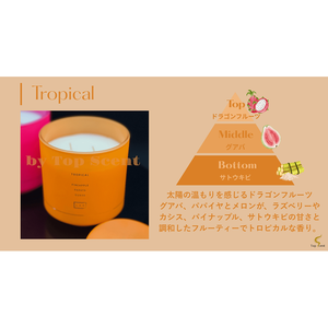 เทียนหอมบำรุงตัวเอง JBPQ กลิ่นทรอปิคอล อโรมาเธอราพี ทำจากไขถั่วเหลือง - Product Image 3