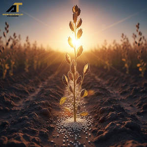 Graines de sésame blanches naturelles de haute qualité, graines de sésame biologiques de qualité supérieure, export en vrac - Product Image 3