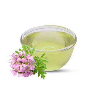 Aceite Esencial de Rosa 100% Puro Certificado GMP (Rosa Damascena) Bulgaria, Destilación por Vapor, Empaque Personalizado, Proveedor Exportador - Product Image 1