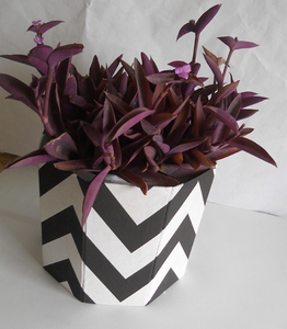 Pot de fleurs fait à la main en coton recyclé sans acide pour l'intérieur pot de fleurs décoratif pour jardin pot de plantes en gros - Product Image 2
