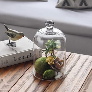 Clear <b>Glass</b> Modern <b>Display</b> <b>Dome</b> Cloche Bell Jar Tabletop Decorative Case Customized Size Logo for Covered Plants Food - Product Image 2