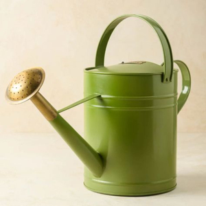 Bidon d'eau en métal de couleur blanche avec poignées en or Design de fantaisie Arrosage des plantes de fabricants et fournisseurs - Product Image 3