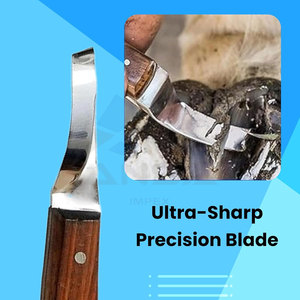 Premium Right Handed Hoof Knife <b>Wooden</b> Handle Double <b>Edged</b> Professional Farrier Horse Cow Goat Hoof <b>Trimming</b> Shoeing Grooming - Product Image 4