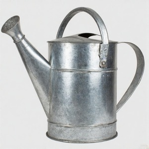 Jarra de riego galvanizada funcional pero elegante con base ancha para estabilidad y Punta de vertido estrecha para un uso enfocado - Product Image 4