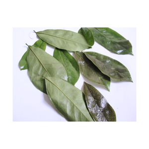 ราคาดีสำหรับ2024: ใบทุเรียนเทศกริโอลาทิ้งอาหารเสริมเพื่อสุขภาพคุณภาพสูงจากข้อมูลทองคำ99ข้อมูล - Product Image 2