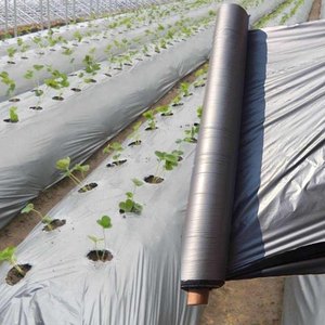 Película de mantillo de plástico de alta calidad, bicolor, súper negro, precio de Agricultura, película de mantillo de plástico negro agrícola de Tailandia - Product Image 6