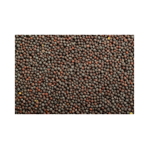 Wholesale Mustard <b>Seeds</b> Bulk <b>Packing</b> Pure And Natural Mustard <b>Seeds</b> With Excellent Aroma And Quality - Product Image 5